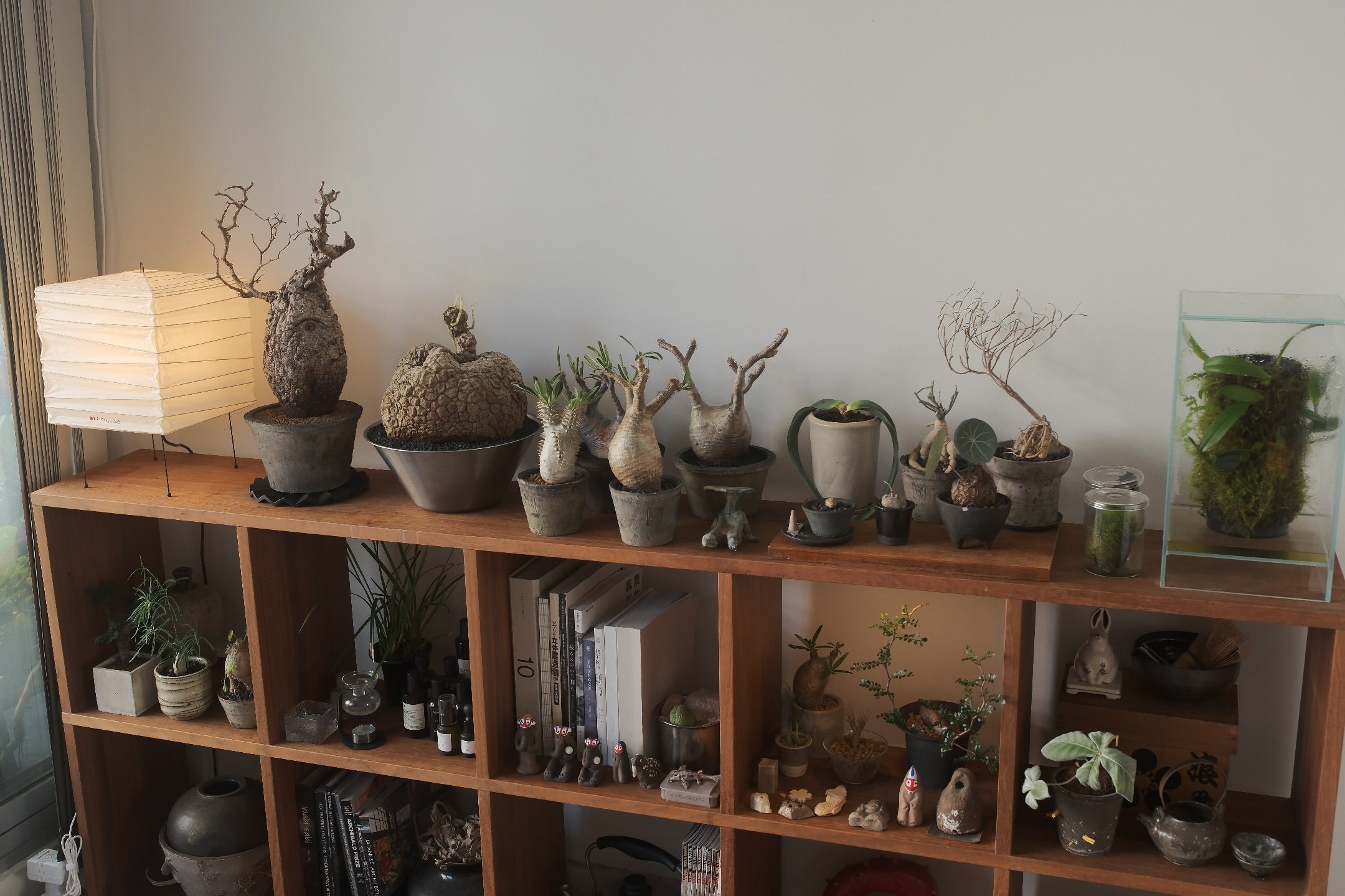 Terracotta Pot • K2 | pickup only