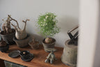 Terracotta Pot • K1 | pickup only