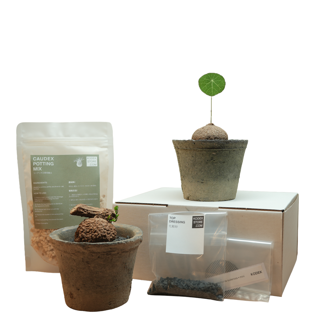 caudex starter kit