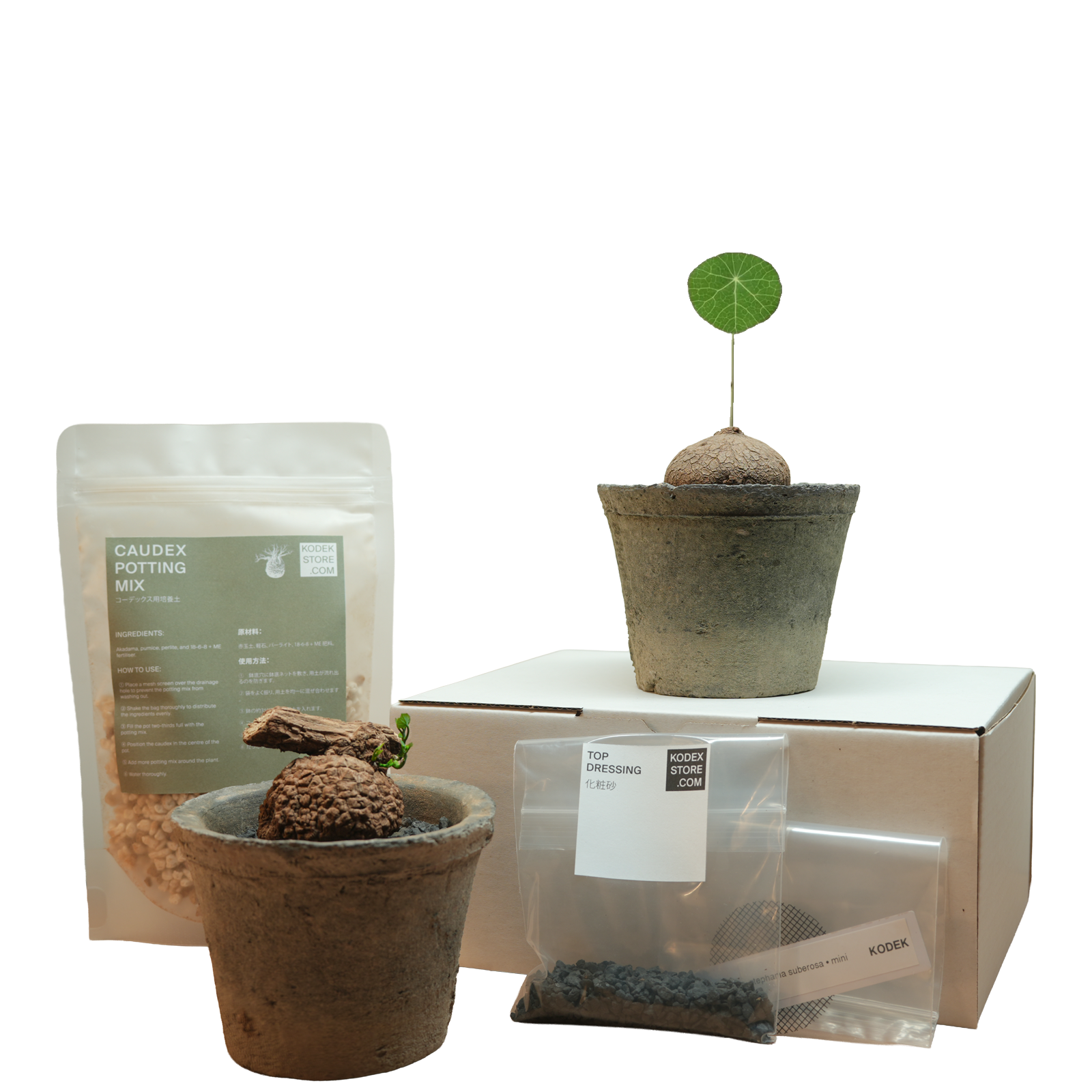 caudex starter kit