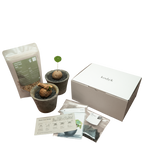 caudex starter kit