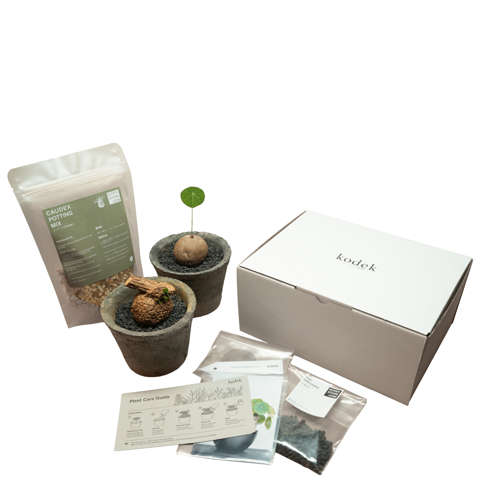 caudex starter kit